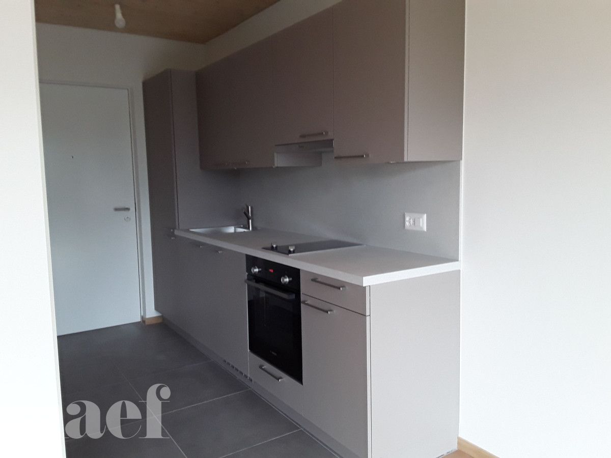 À louer : Appartement 1 Pieces Grand-Lancy - Ref : 1ibnoJfD | Naef Immobilier