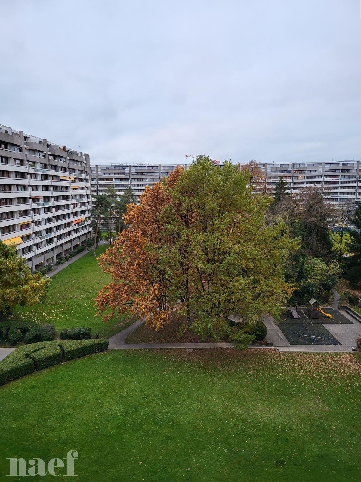 À louer : Appartement 5 Pieces Genève - Ref : 202102.6001 | Naef Immobilier