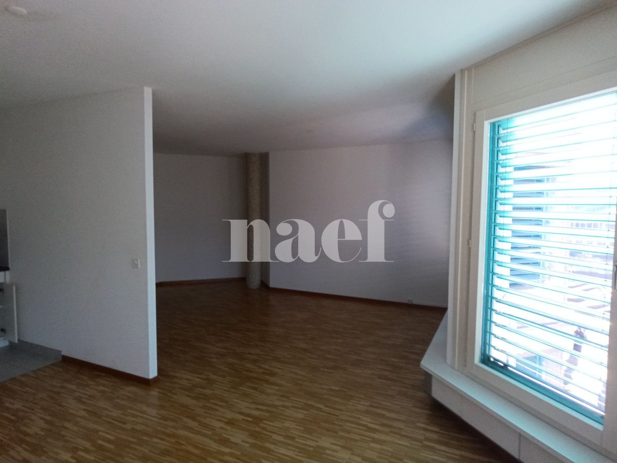 À louer : Appartement 3 Pieces Carouge - Ref : 202130.2002 | Naef Immobilier