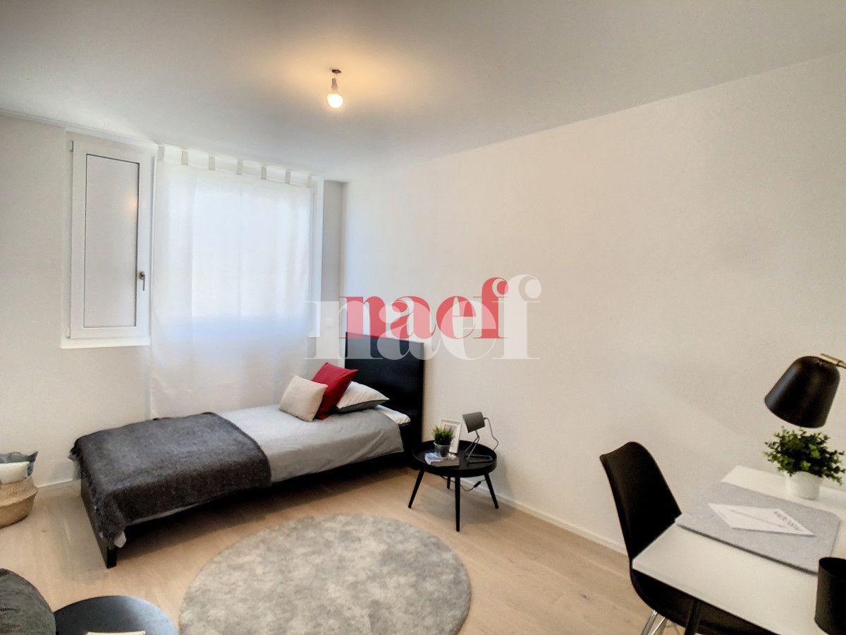 À louer : Appartement 3.5 Pieces Chavannes-Renens - Ref : 208872.5001 | Naef Immobilier