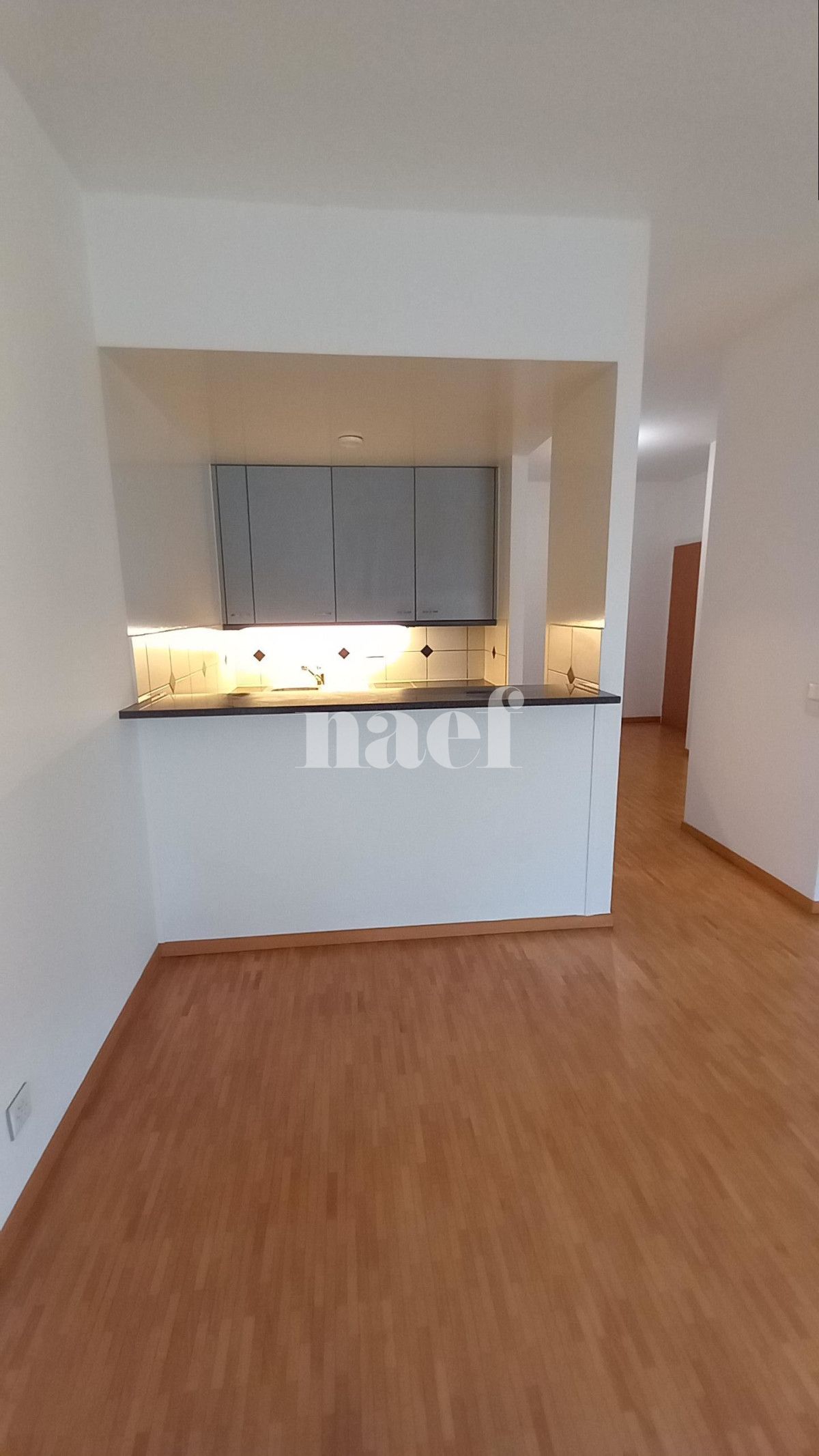 À louer : Appartement 2.5 Pieces Genève - Ref : 211140.1001 | Naef Immobilier