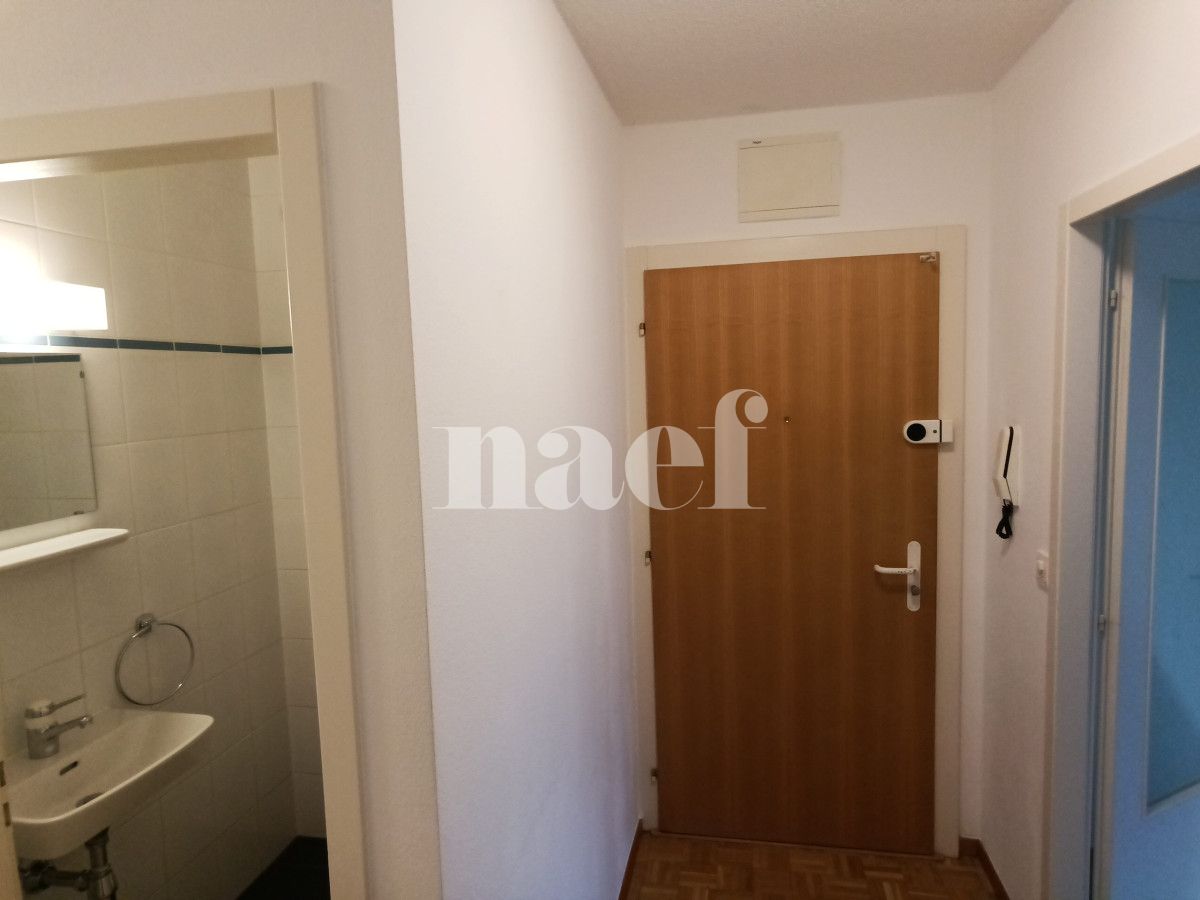 À louer : Appartement 4 Pieces Petit-Lancy - Ref : 211177.1002 | Naef Immobilier