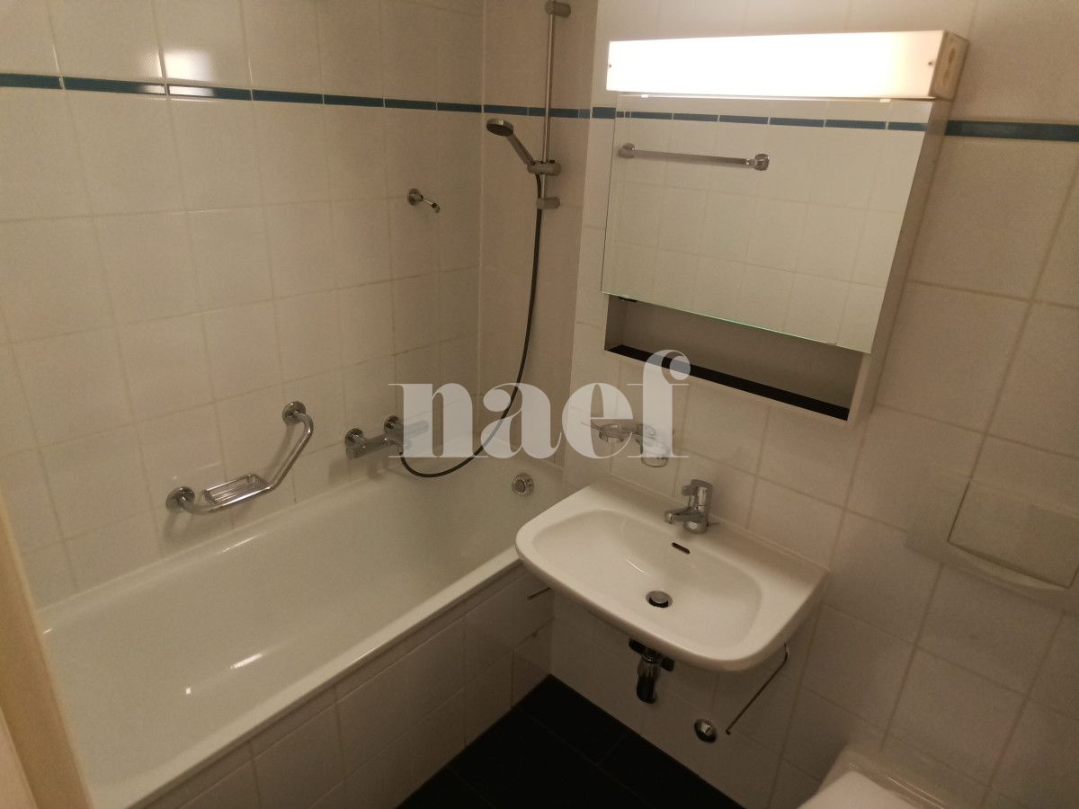 À louer : Appartement 4 Pieces Petit-Lancy - Ref : 211177.1002 | Naef Immobilier