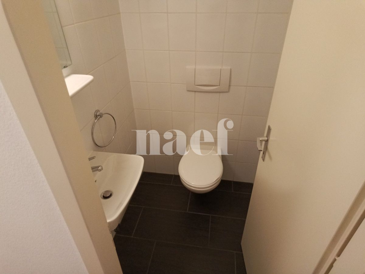 À louer : Appartement 4 Pieces Petit-Lancy - Ref : 211177.1002 | Naef Immobilier