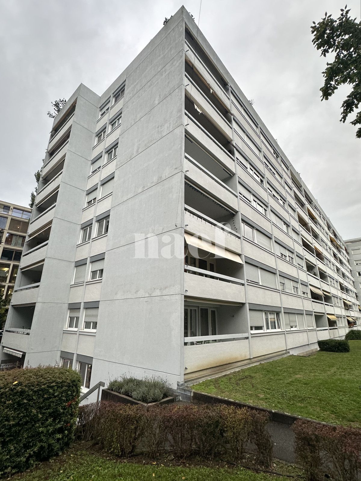 À louer : Appartement 4 Pieces Grand-Lancy - Ref : 212206.3001 | Naef Immobilier