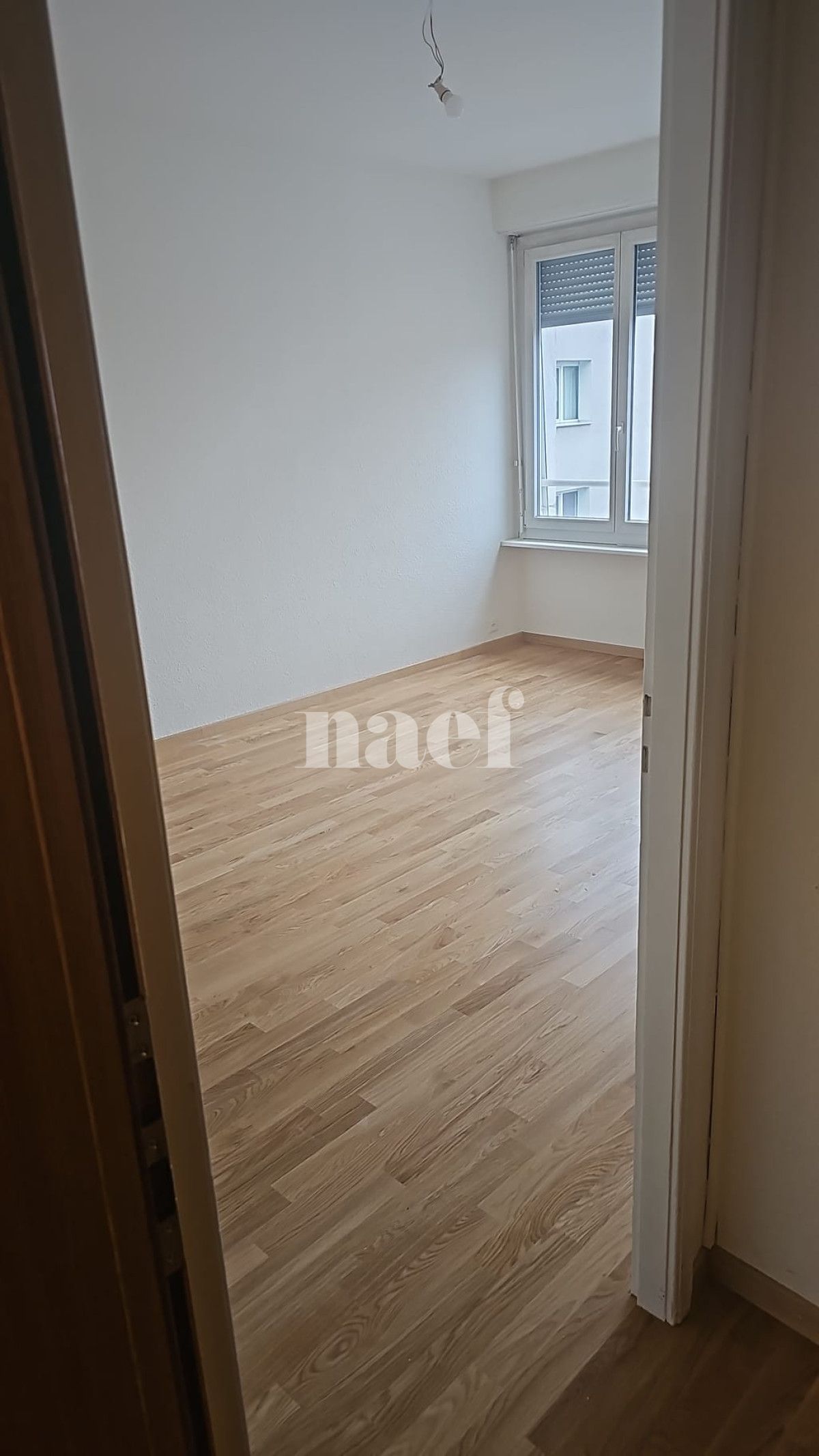 À louer : Appartement 1.5 Pieces Genève - Ref : 217100.6004 | Naef Immobilier