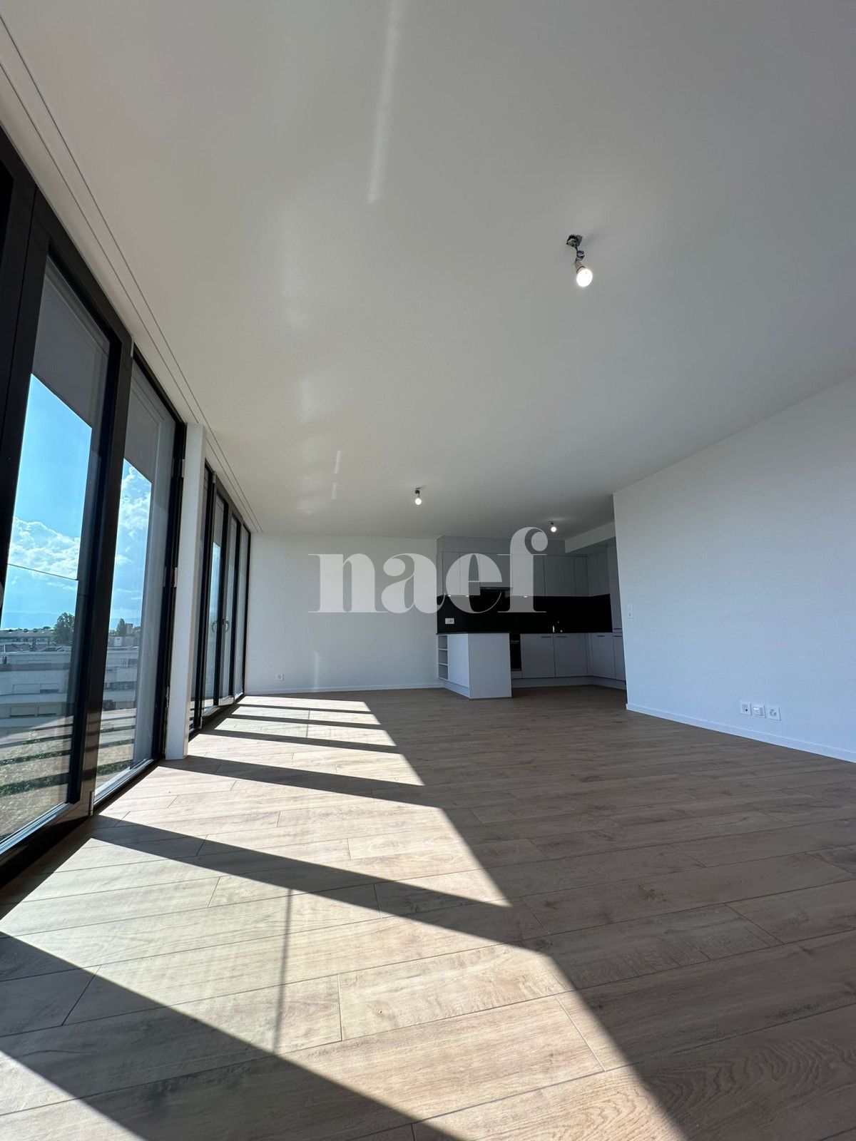 À louer : Appartement 5 Pieces Genève - Ref : 242029.7001 | Naef Immobilier