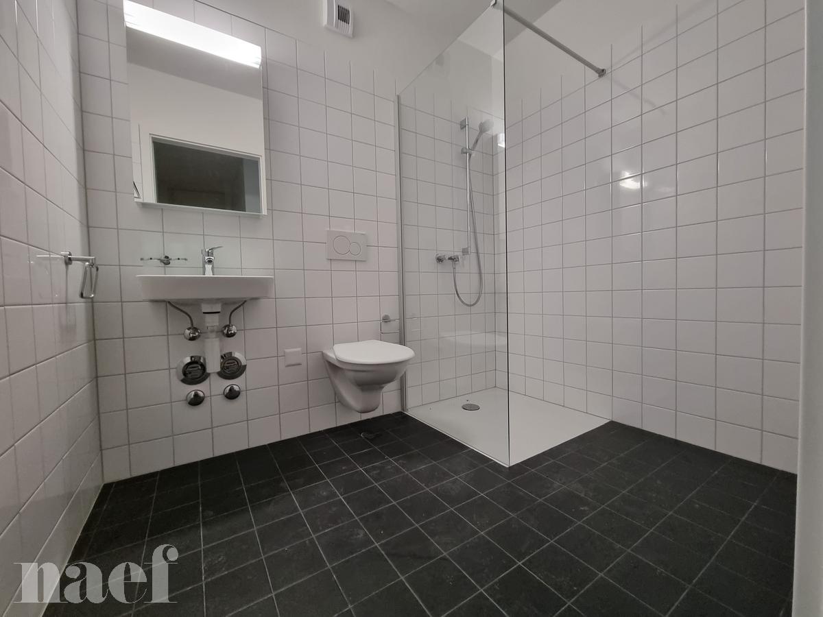 À louer : Appartement 3 Pieces Le Locle - Ref : 276325.1 | Naef Immobilier