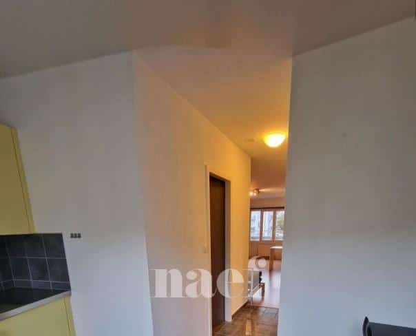 À louer : Appartement 1.5 Pieces Lausanne - Ref : 200217.4122 | Naef Immobilier