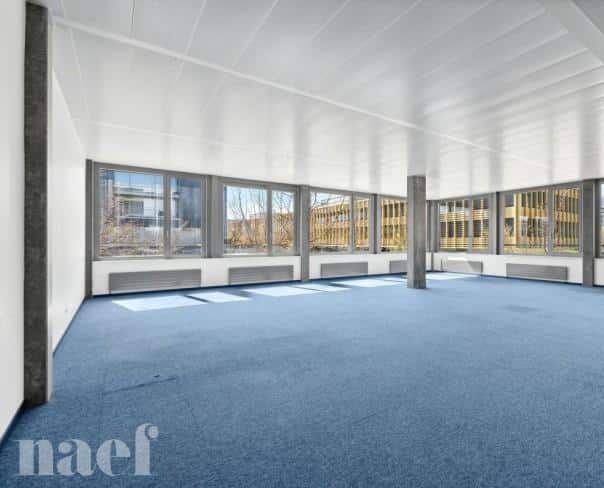 À louer : Surface Commerciale Arcade Nyon - Ref : 205618.1 | Naef Immobilier