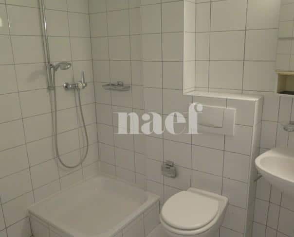 À louer : Appartement 3 Pieces Neuchâtel - Ref : 208164.2001 | Naef Immobilier