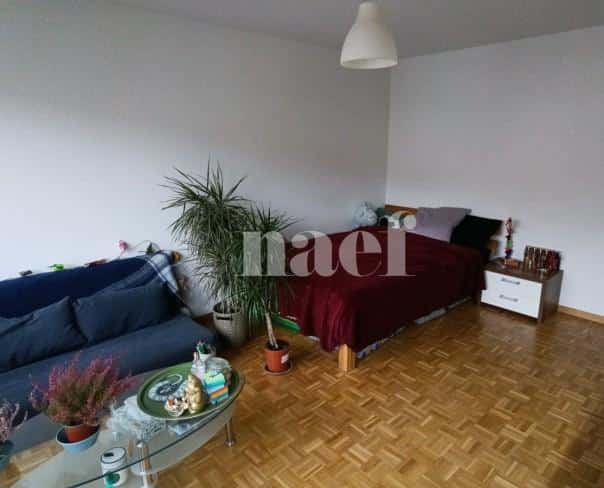 À louer : Appartement 1 Pieces Neuchâtel - Ref : 208412.4005 | Naef Immobilier