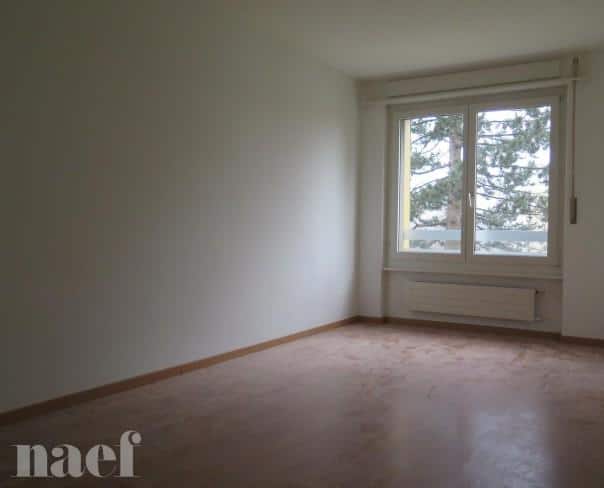 À louer : Appartement 2 Pieces La Chaux-de-Fonds - Ref : 219034.2002 | Naef Immobilier