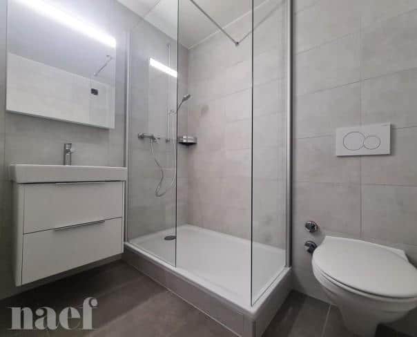 À louer : Appartement 1 Pieces Neuchâtel - Ref : 219534.6065 | Naef Immobilier