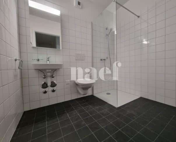 À louer : Appartement 3 Pieces Le Locle - Ref : 276325.1 | Naef Immobilier