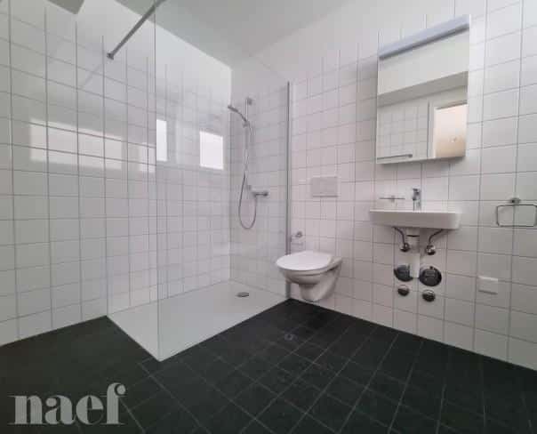 À louer : Appartement 3 Pieces Le Locle - Ref : 276325.2 | Naef Immobilier