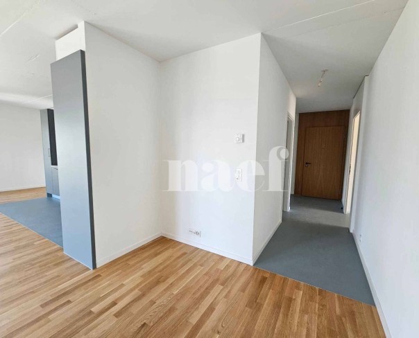 À louer : Appartement 2 Pieces Genève - Ref : CP.19582 | Naef Immobilier