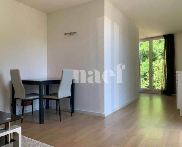 À louer : Appartement 1 Pieces Lausanne - Ref : CP.20664 | Naef Immobilier