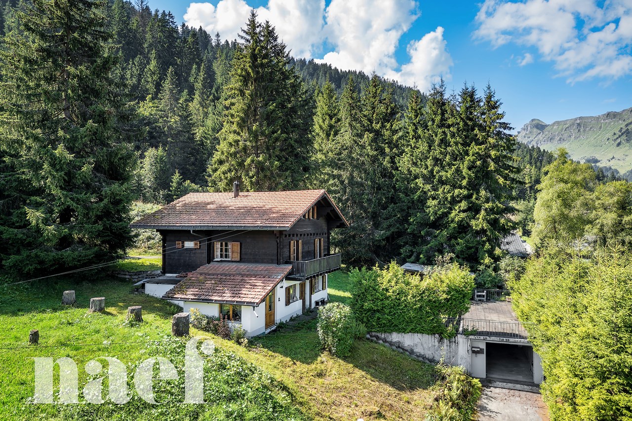 À vendre : Maison 5 chambres Morgins - Ref : 1611 | Naef Immobilier